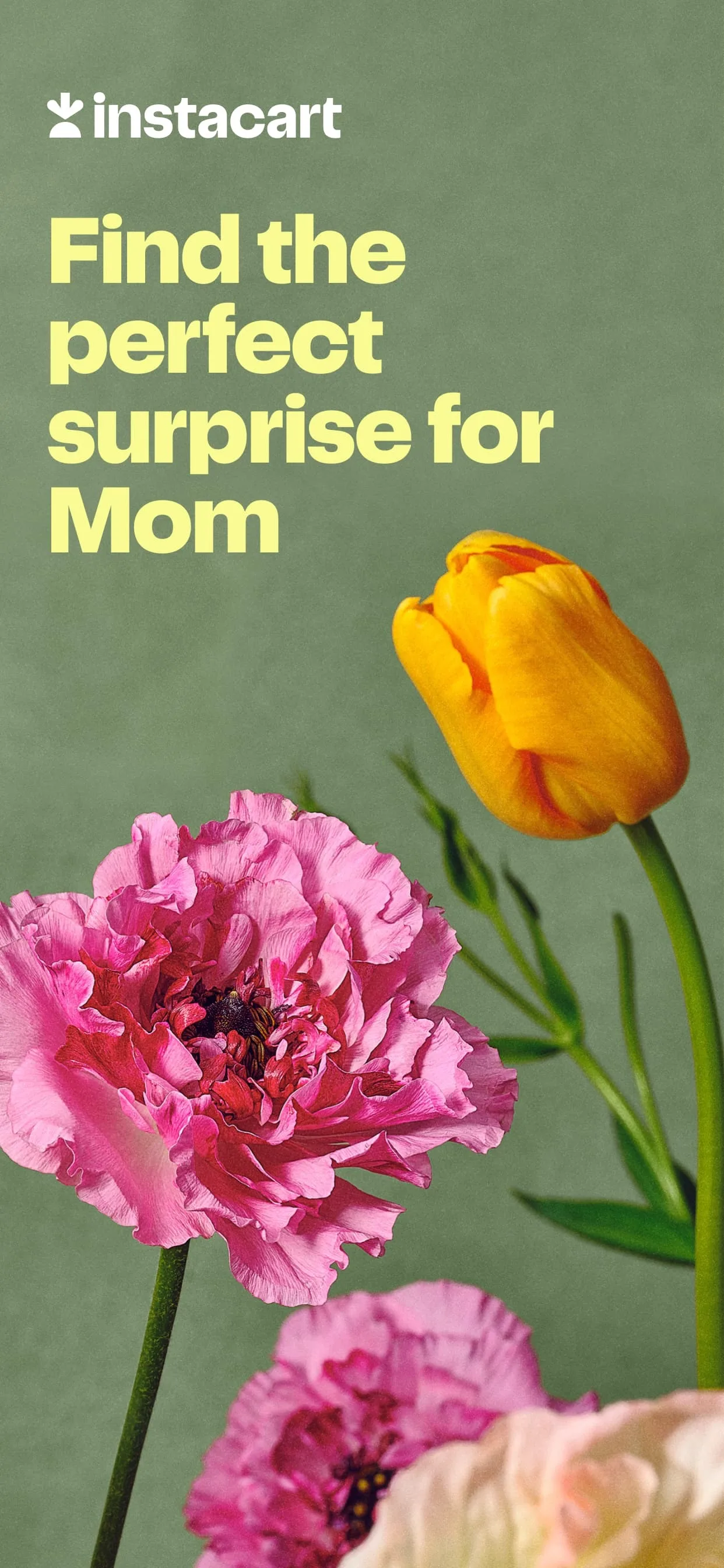 Instacart CPP screenshot 1 (Mother’s Day)